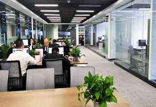 有未来的大连学环艺设计游学