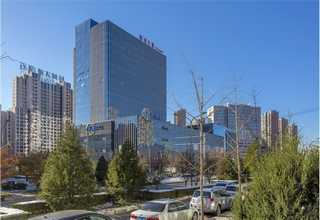 东营大马力拖轮企业