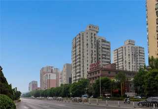 南通果蔬净化机批发