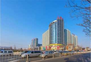 青海天然气储气罐隔震橡胶支座厂家